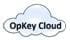 Opkey Distributed Deployment - Network Layout 10 10
