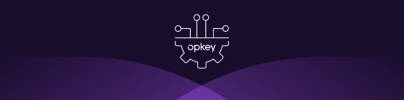 Rewriting the Redwood Roadmap: How TekSpark Tightened Timelines with Opkey’s Automation